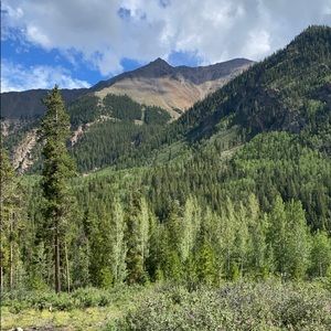 Meet your Posher, Ellen